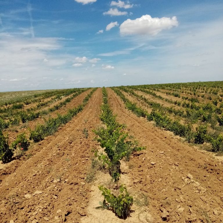 arenas del alon portada 2