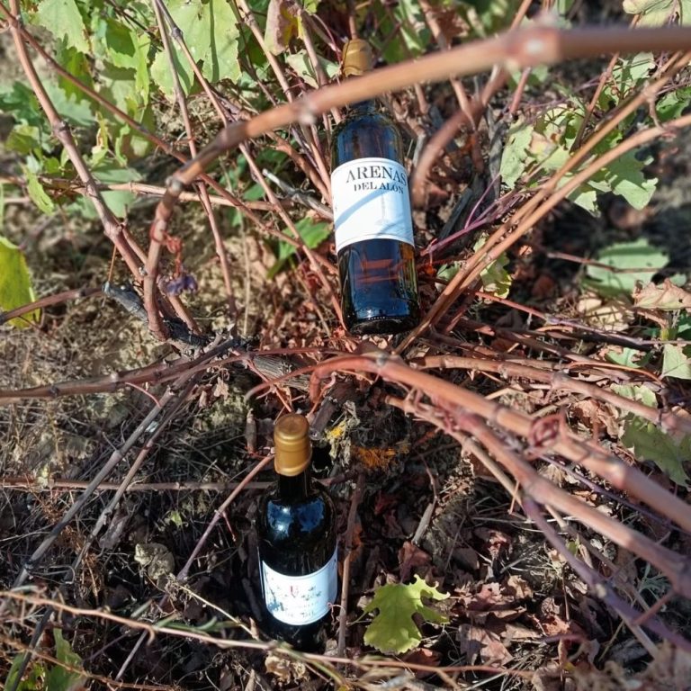 arenas del alon portada